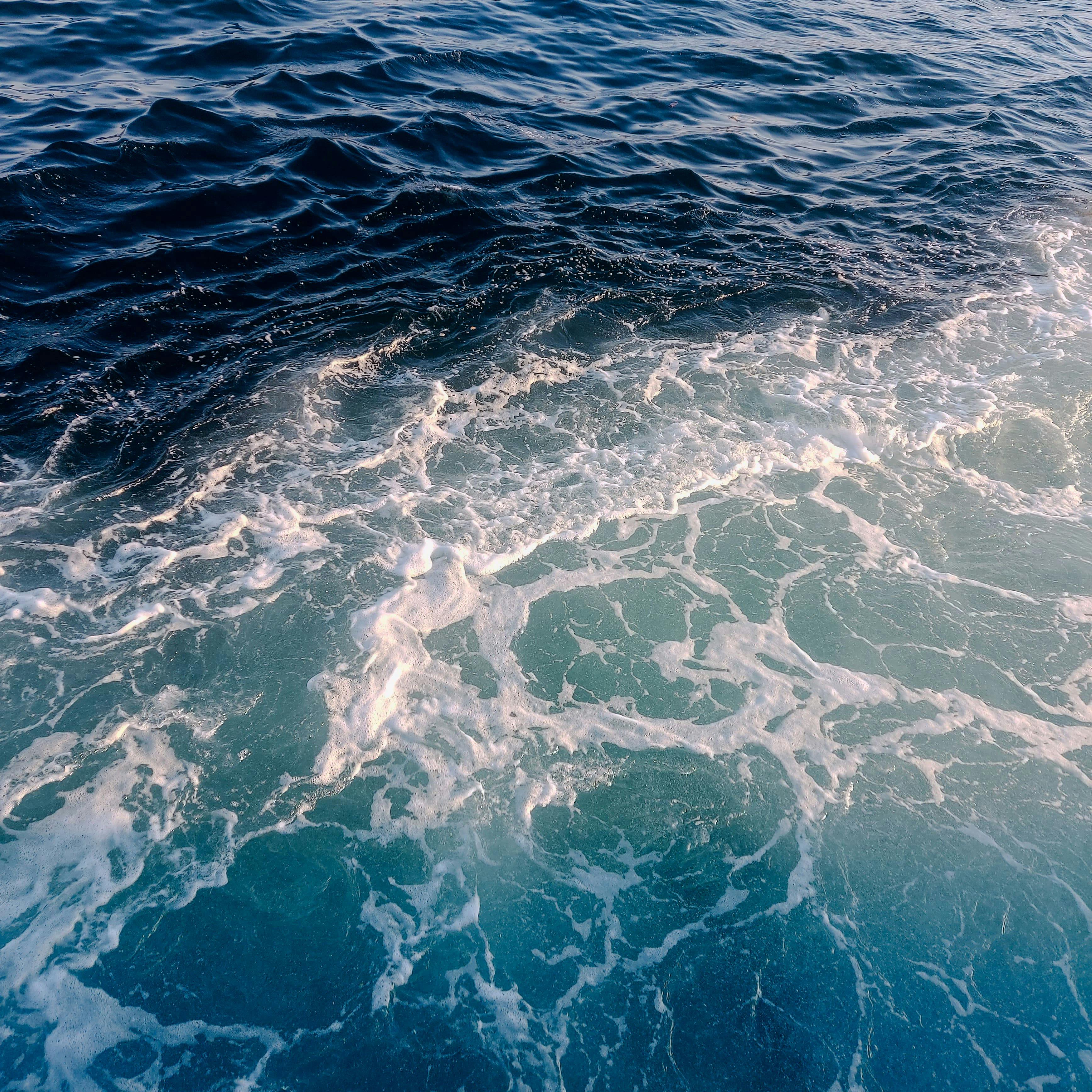 Ocean atmosphere and coral reef ecosystem