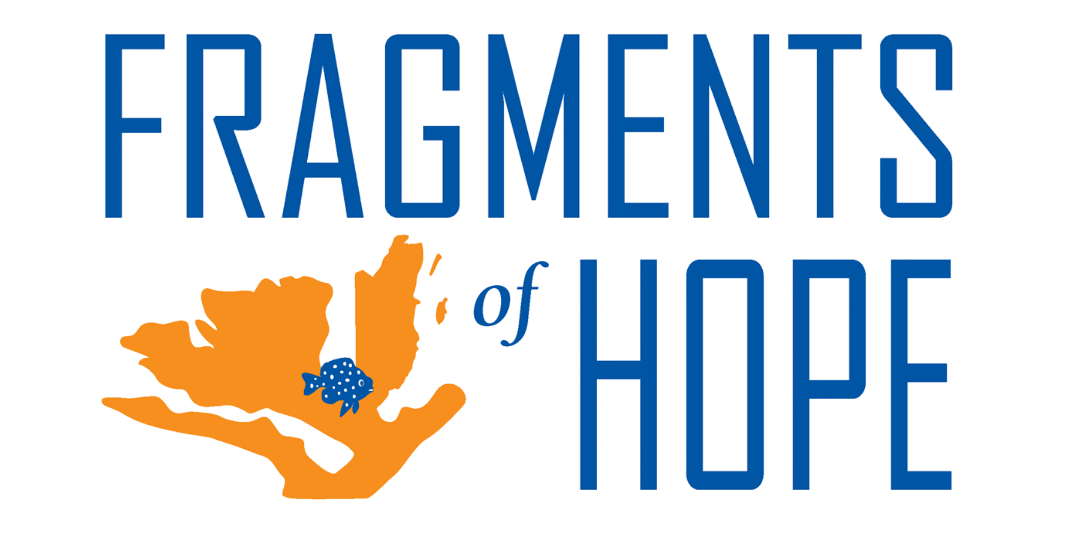 Fragments of Hope