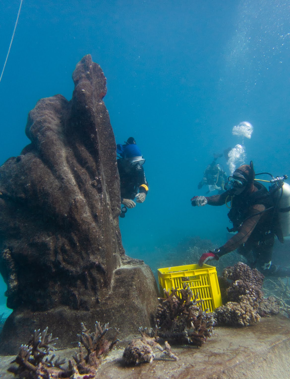 Planting coral on the statue