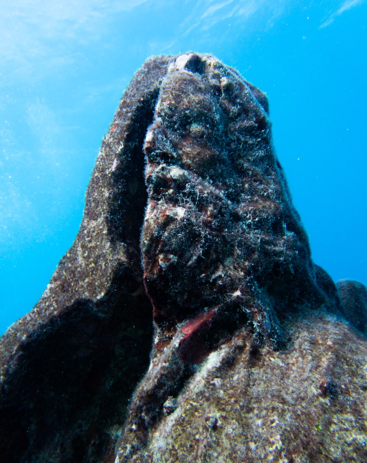 The statue fully submerged underwater