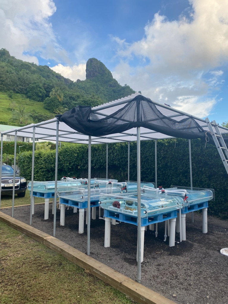 Summerland Farms coral restoration facility