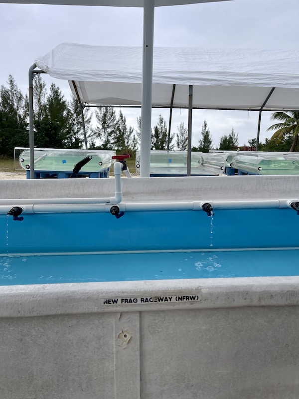 Micro-fragmentation station with acrylic tanks
