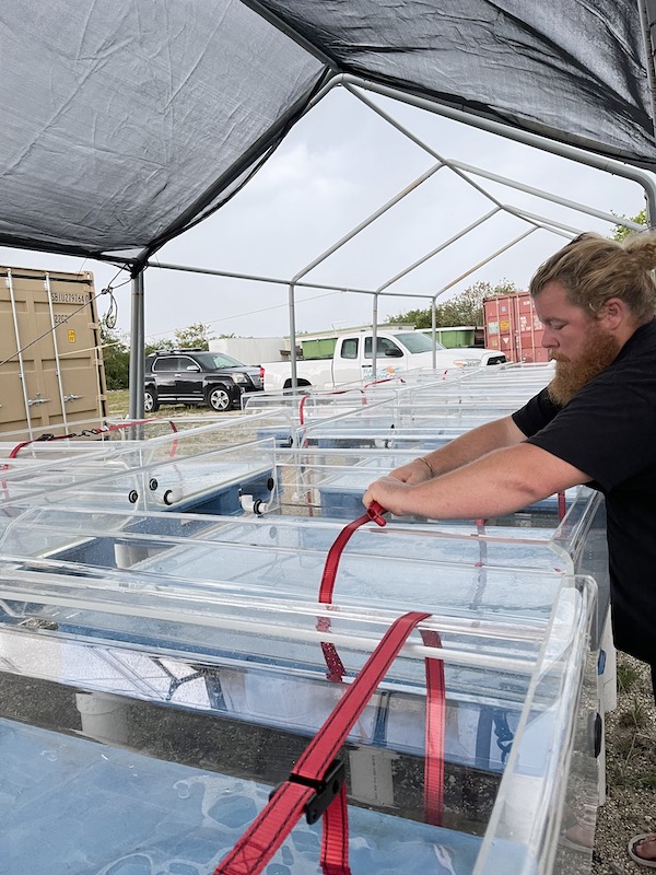 Prepping coral nursery tanks before a storm
