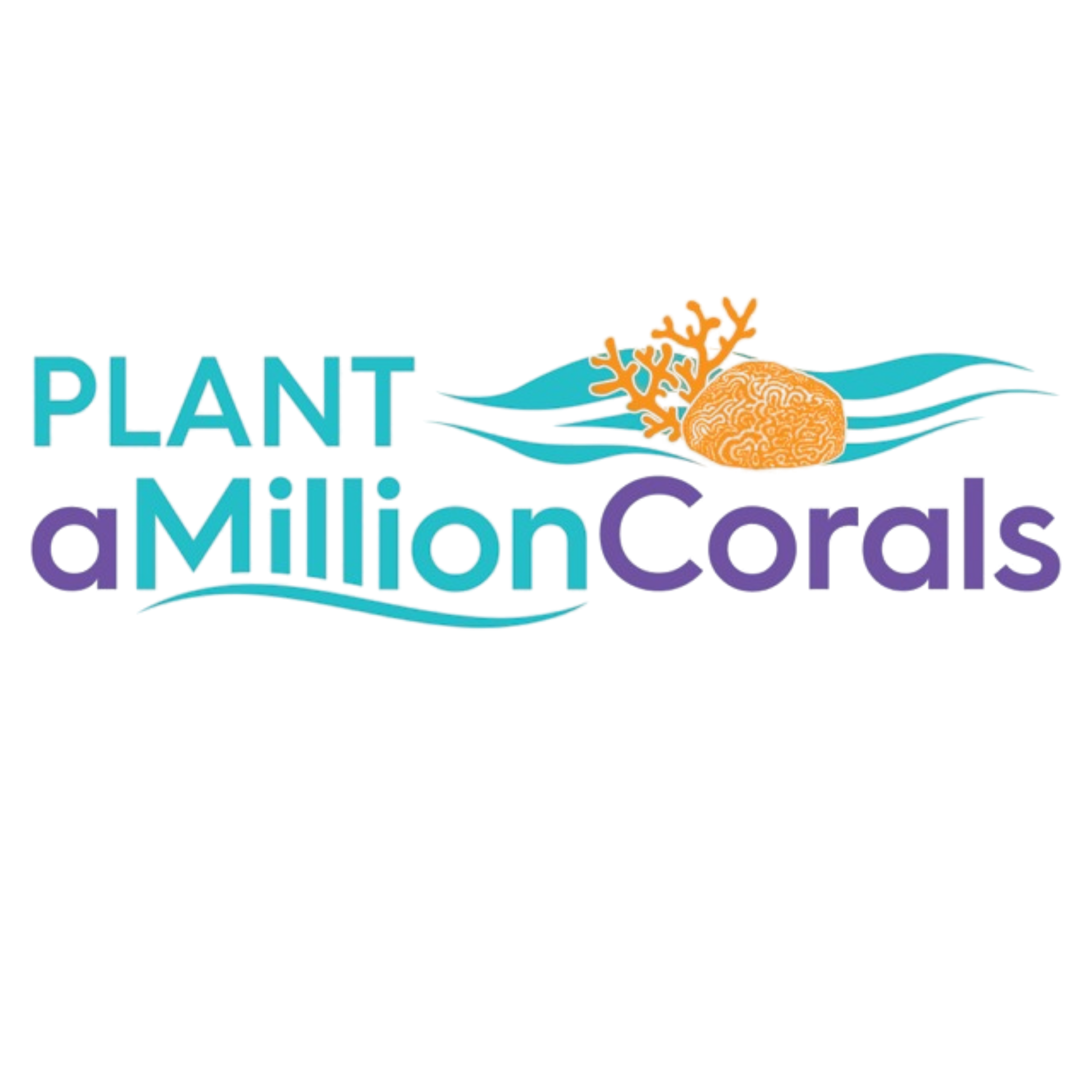 Plant A Million Corals Foundation