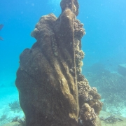 Full statue underwater side view