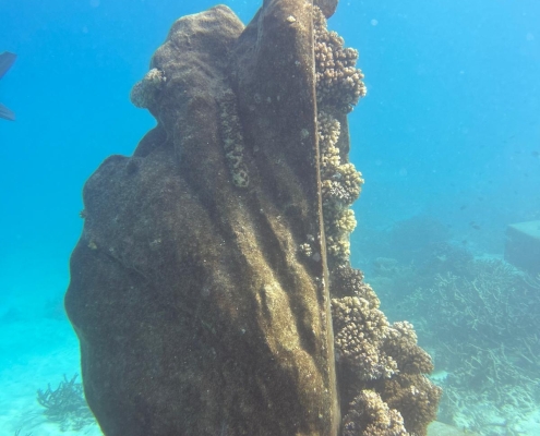 Full statue underwater side view