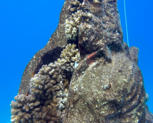 Statue with corals